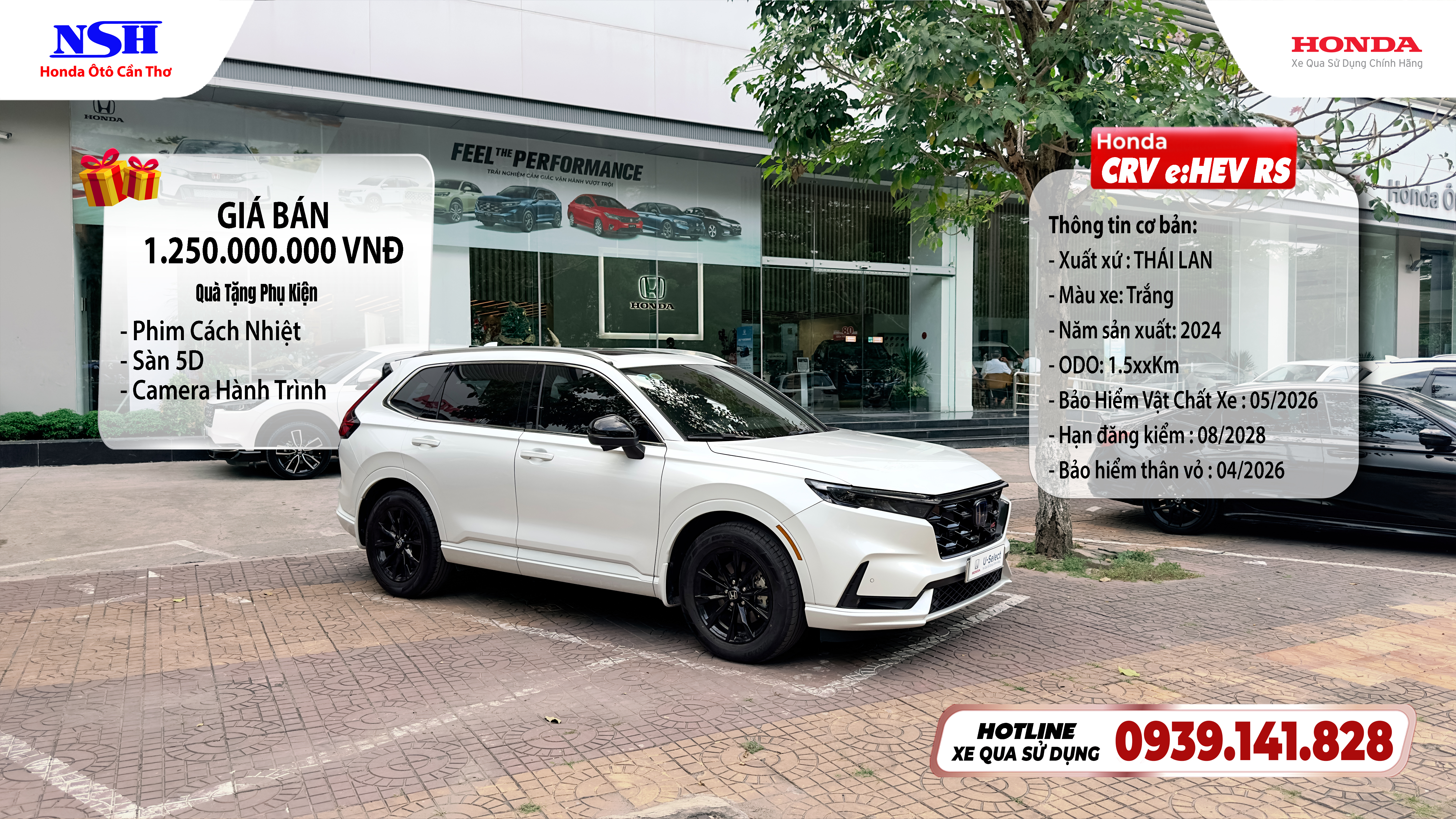 17667185491COVER USED CAR245.jpg